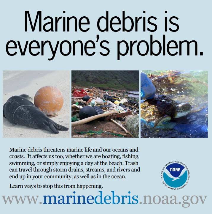 Marine Debris Collaborative